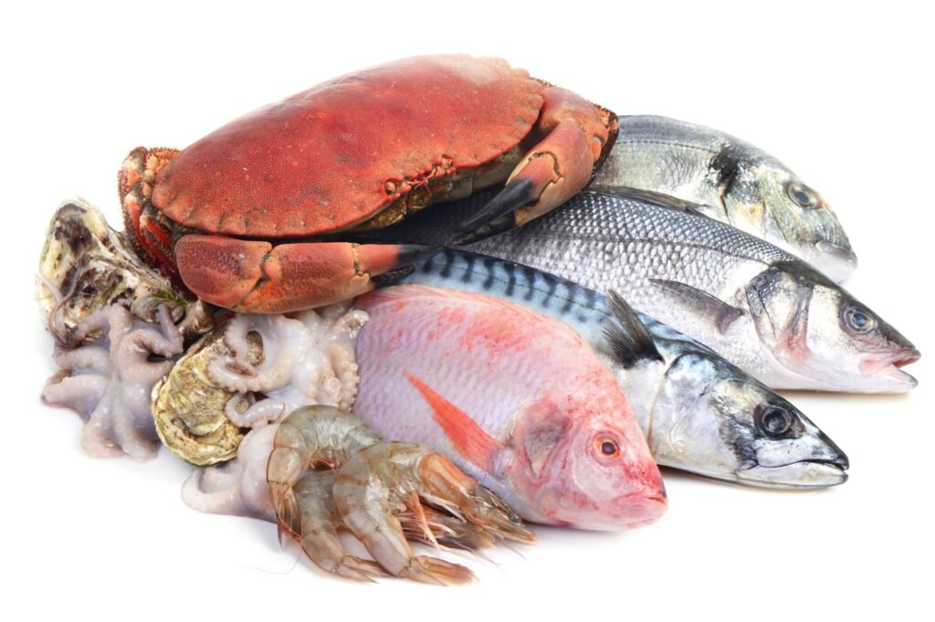 Somali Seafood: Fresh from the Indian Ocean to Global Markets