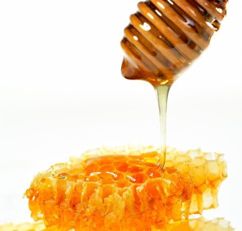 close-up-orange-against-white-background